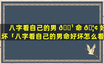 八字看自己的男 🌹 命 🦢 好坏「八字看自己的男命好坏怎么看」